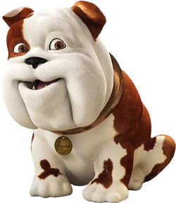 Churchill (dog)